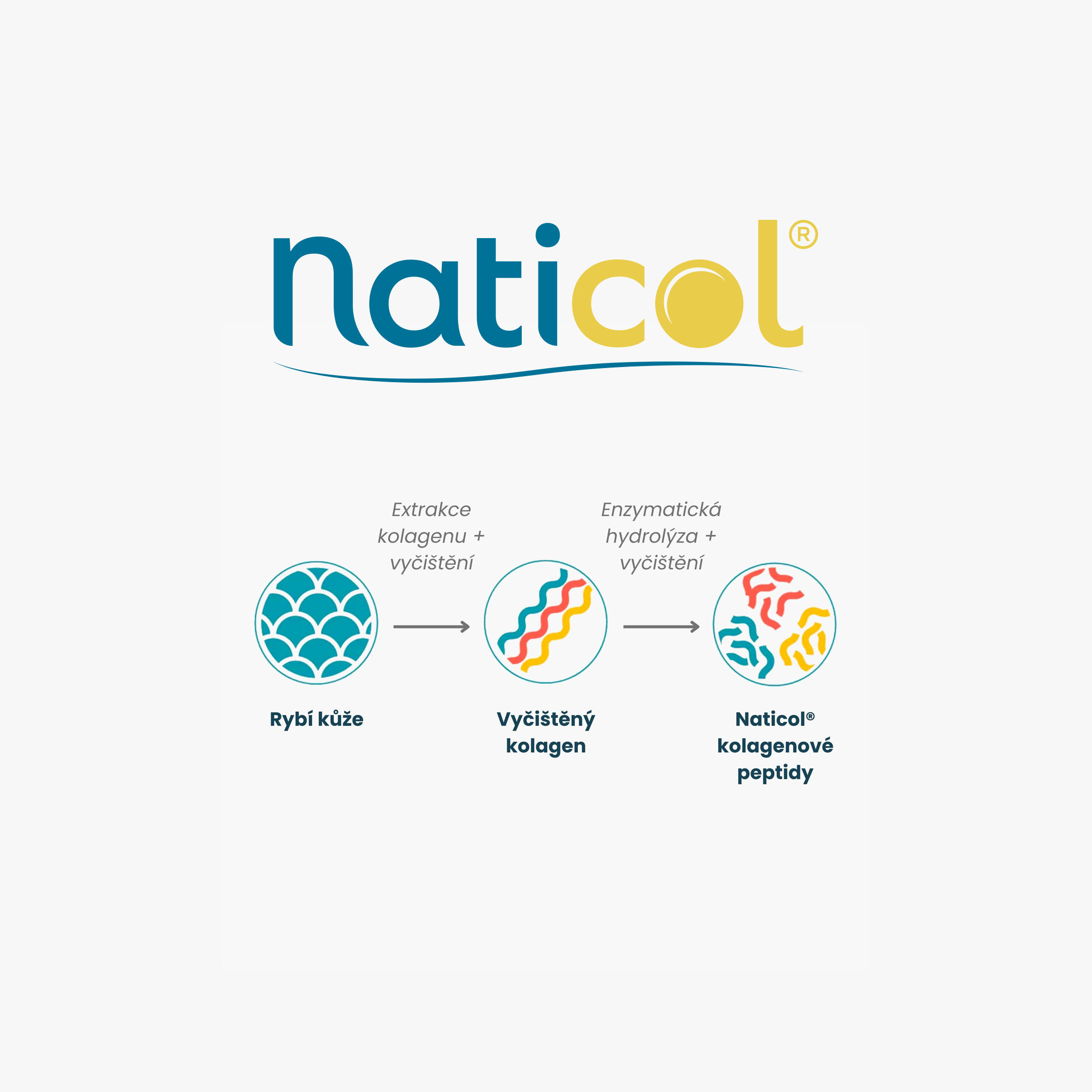 naticol kollagén 2